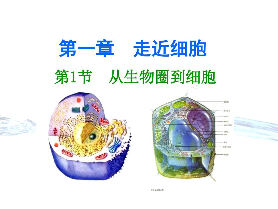 高中生物必修一-全册教材课件_第1页