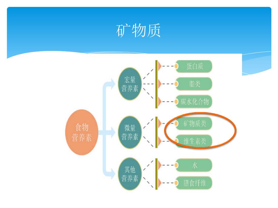 U营养学基础 矿物质_第1页