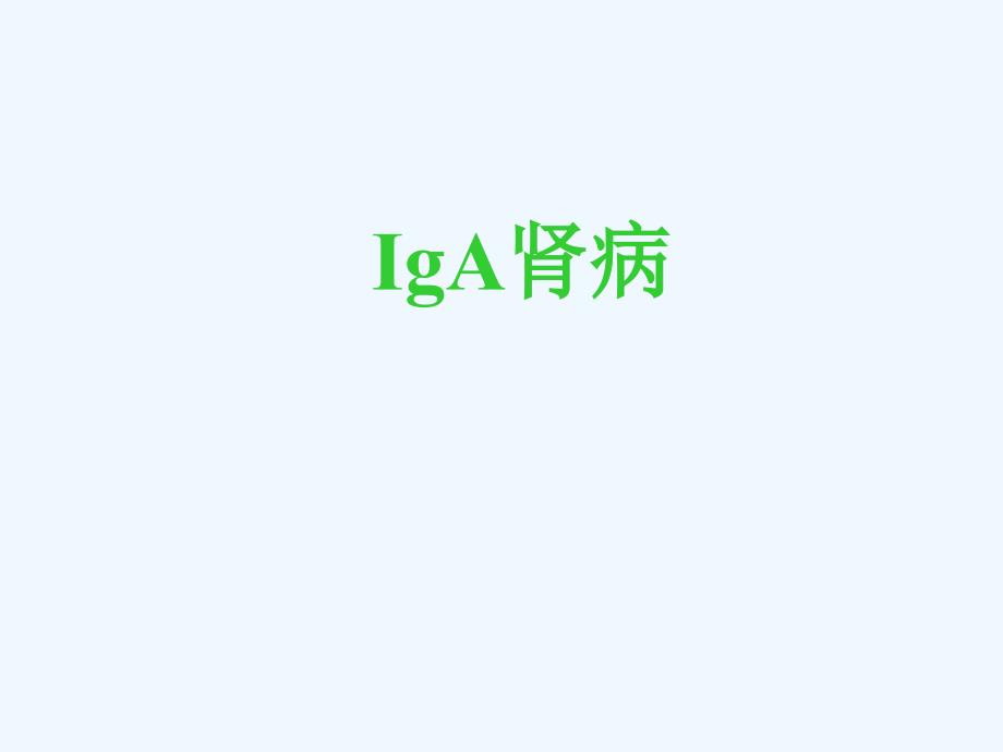 IgA肾病解读_第1页