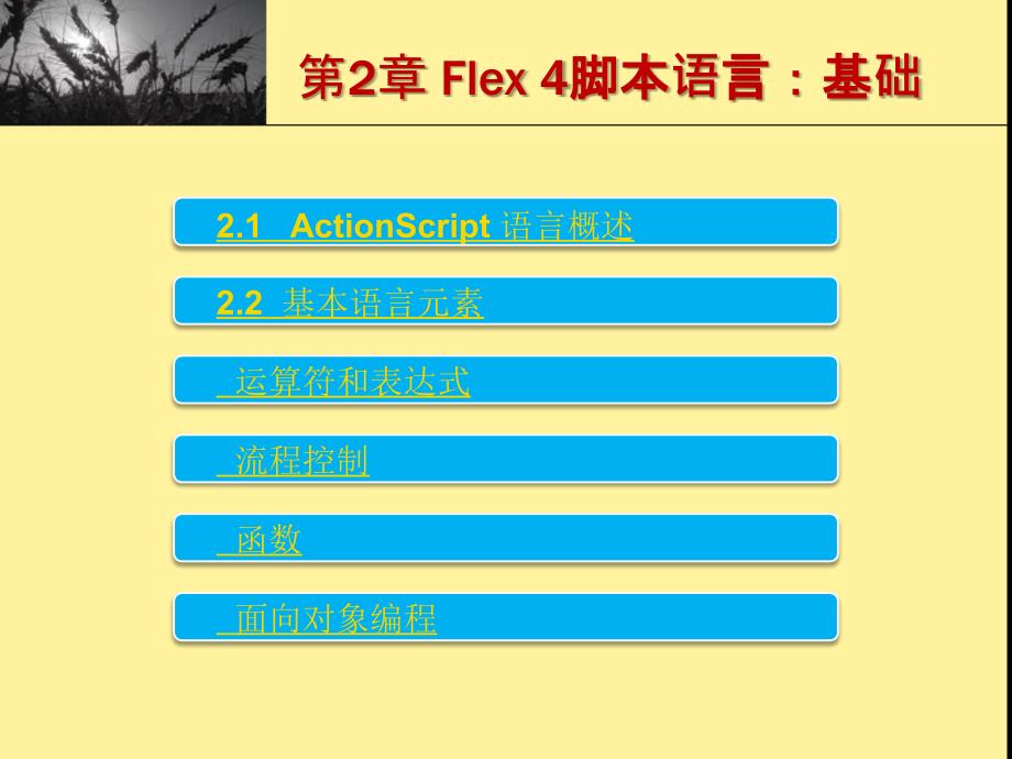 第2章 Flex 4脚本语言：ActionScript 30基础_第1页