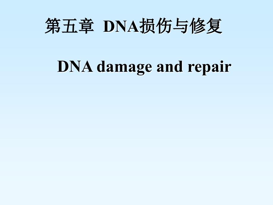 第五章 DNA损伤修复与重组_第1页