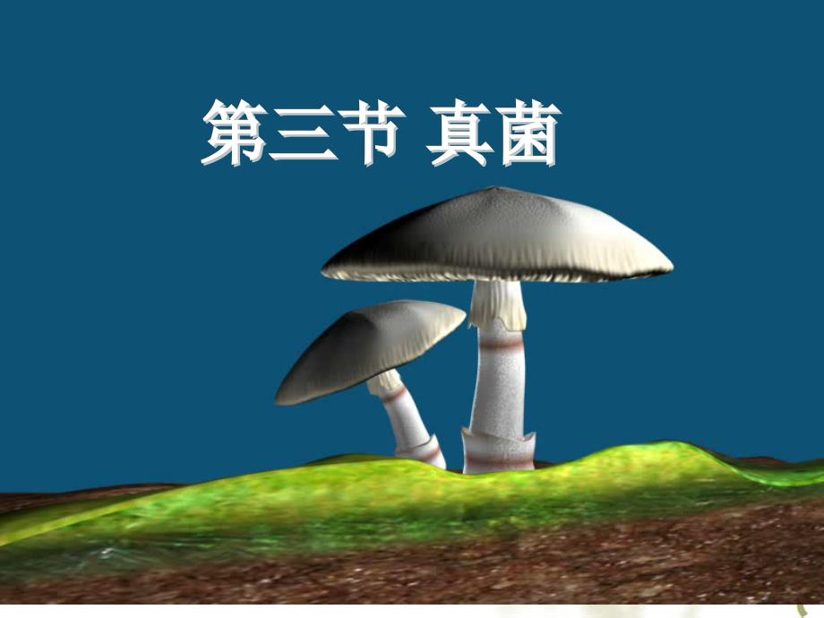 八年级生物真菌课件1_第1页