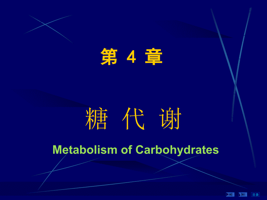 第七版生物化学课件第四章 糖代谢_第1页