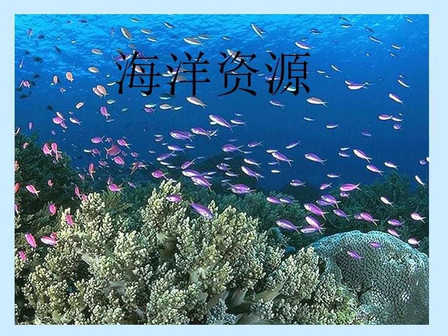 海洋资源与海洋环境保护ppt课件_第1页