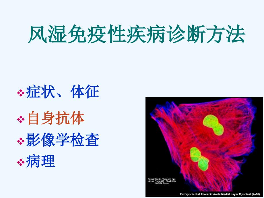 抗核抗体检测及临床意义张瑾_第1页