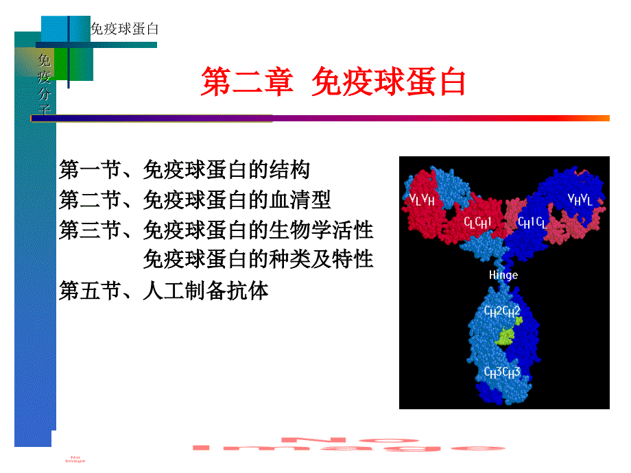 微生物学与免疫学课件免疫球蛋白_第1页