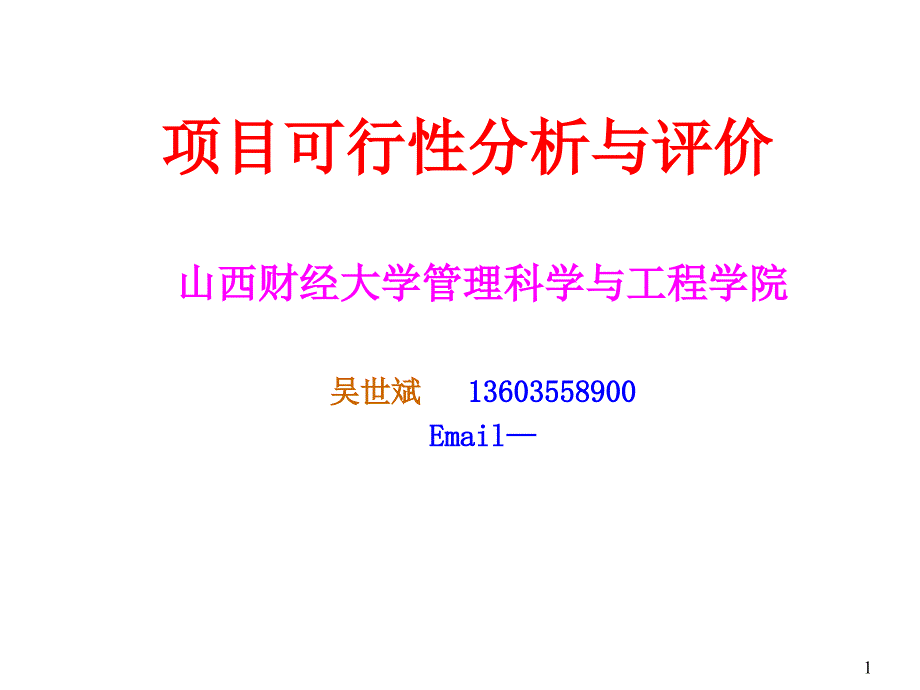 项目可行性分析与评价_第1页