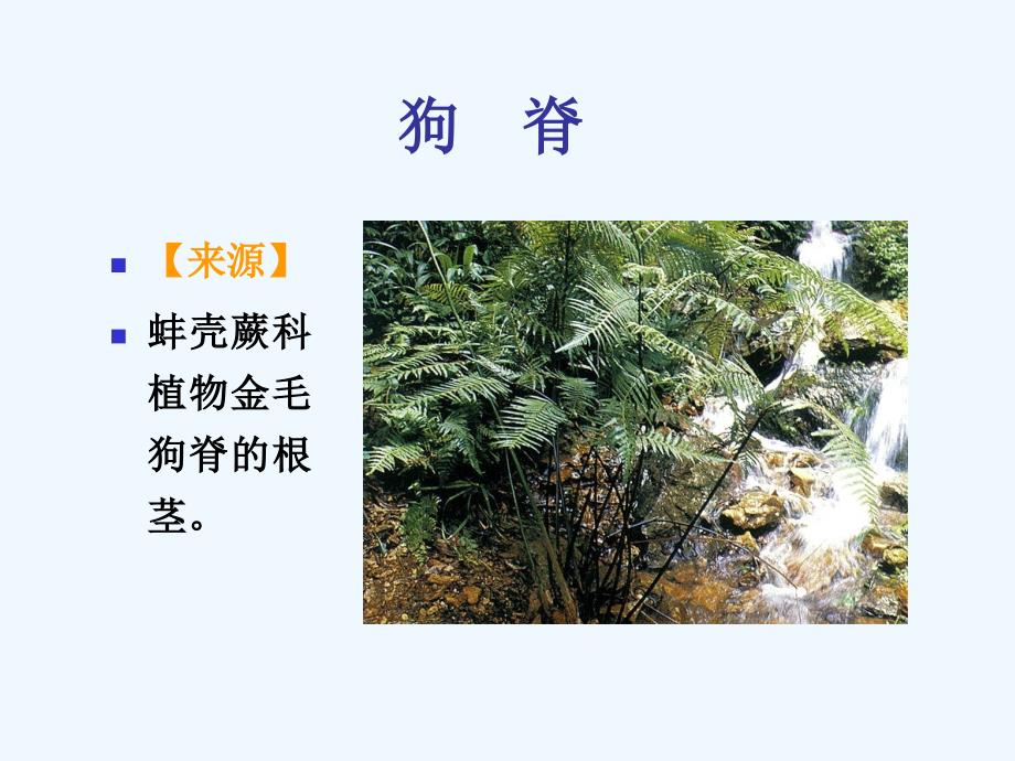 教案下篇 根及根茎类药材_第1页