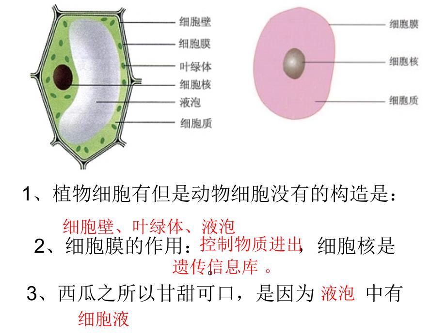 初中生物课本图片1_第1页