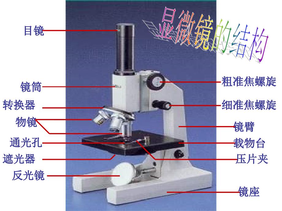 初中生物中考专题图复习_第1页