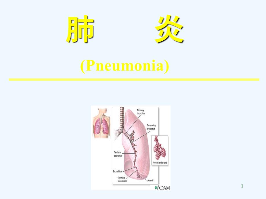 支气管肺炎_第1页