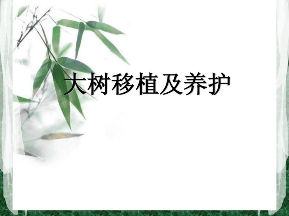 绿化工培训大树移植及养护_第1页