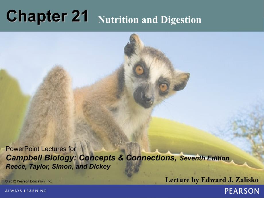 营养和消化 大学生物 Nutrition and Digestion_第1页