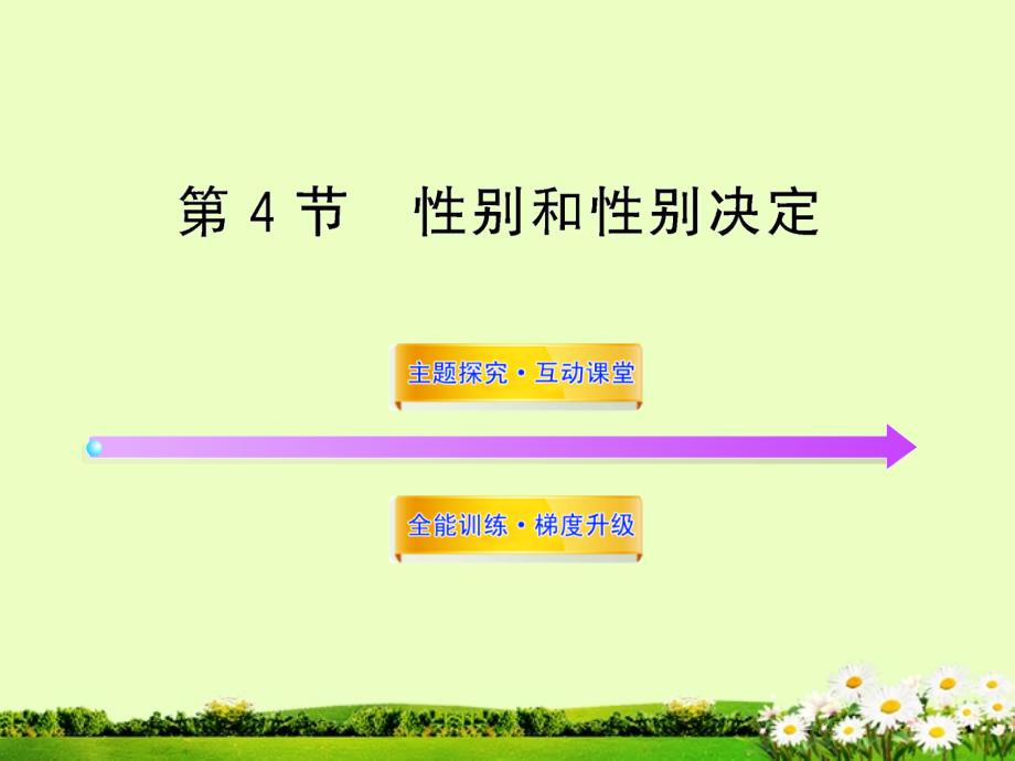 八年级生物上册 第二十章 第四节 性别和性别决定课件 北师大版_第1页