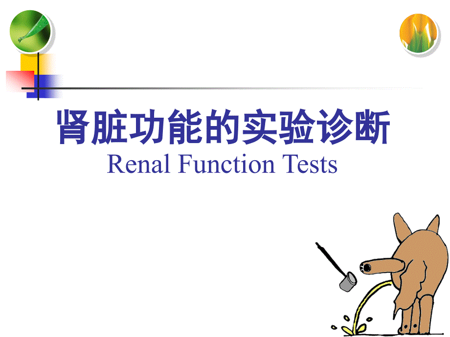 肾功能检查演示课件_第1页