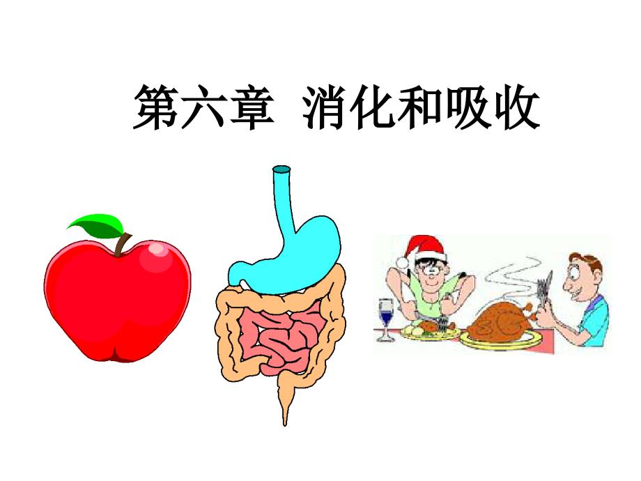 生理胃内消化_第1页