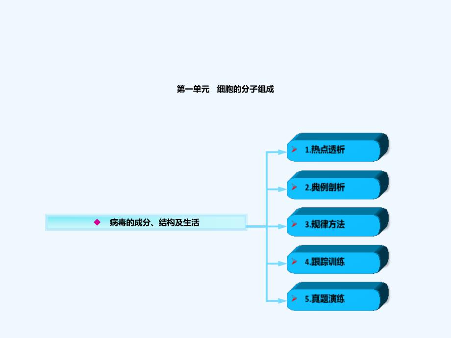 有关病毒知识_第1页