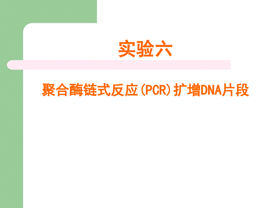 聚合酶链式反应(PCR)扩增DNA片段_第1页