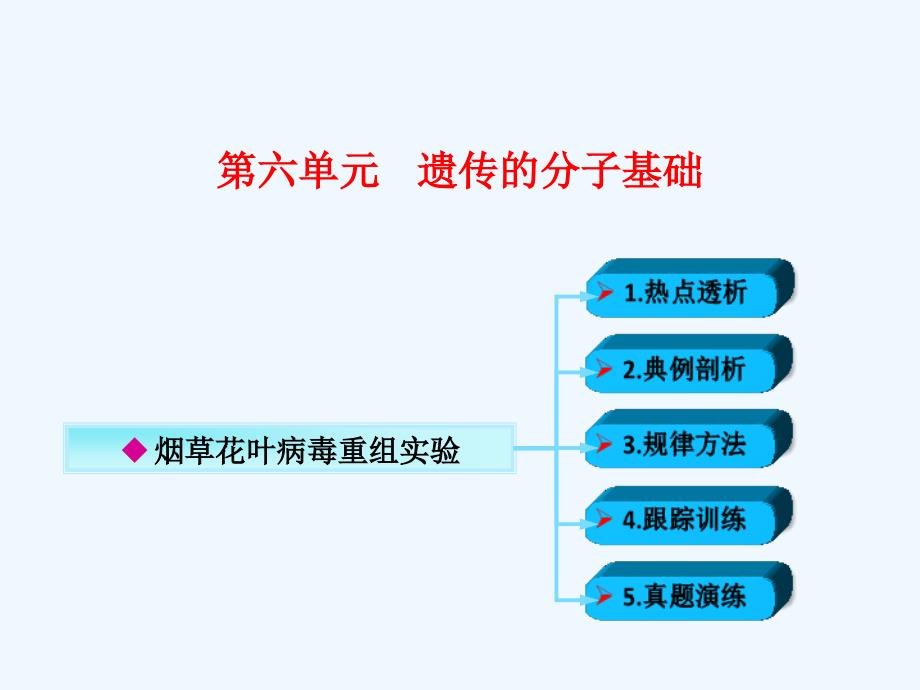 烟草花叶病毒重组实验_第1页