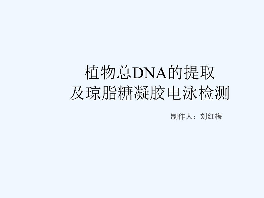 植物中DNA提取及琼脂糖凝胶电泳检测_第1页