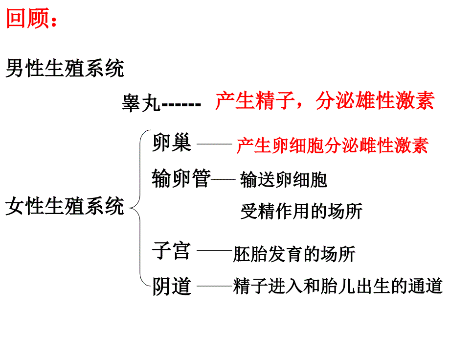 班人生殖发育_第1页