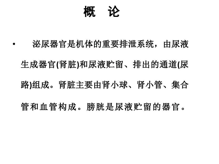 泌尿器官疾病 兽医 概述_第1页