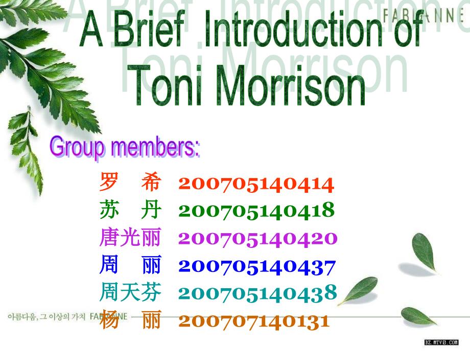 美国黑人作家Toni Morrison[教学]_第1页