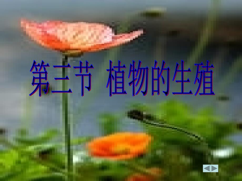 植物无性生殖课件_第1页