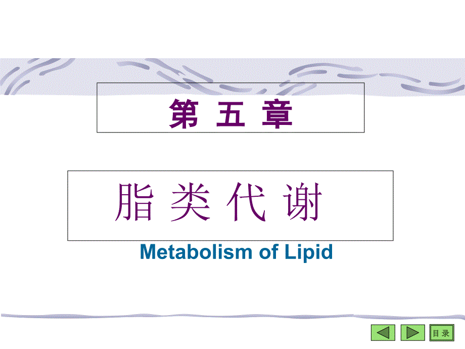 沈阳药科大学生物化学课件脂代谢_第1页