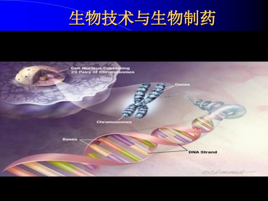 生物技术与生物制药课件_第1页