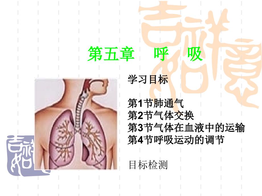 生理学课件 第五章 呼吸_第1页