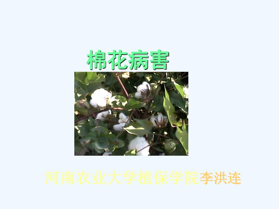 植物病害认知03_第1页