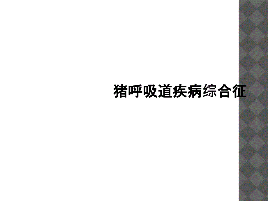 猪呼吸道疾病综合征_第1页