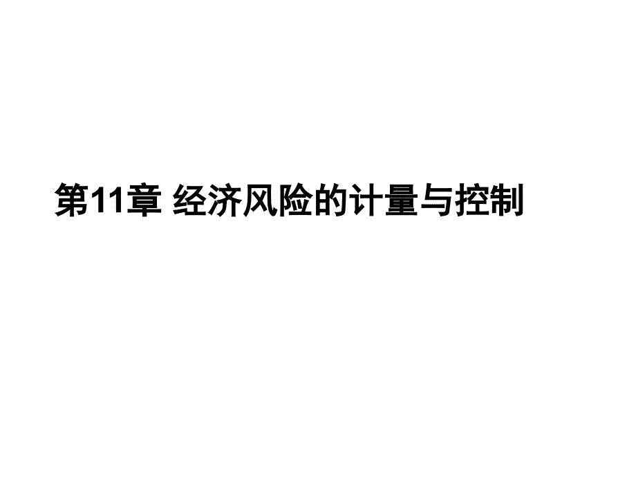 经济风险的计量及控制_第1页