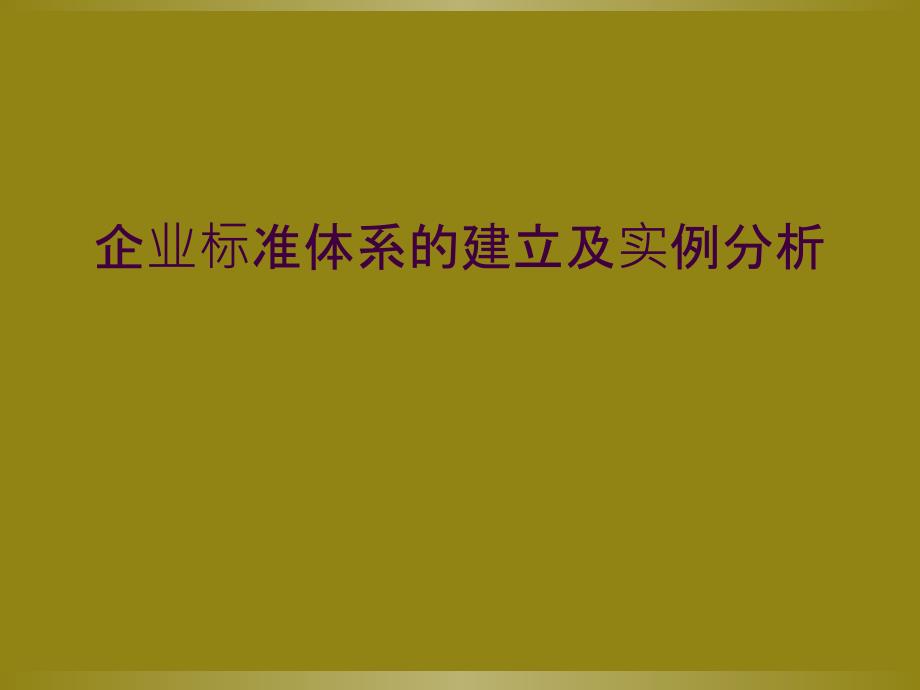 企业标准体系的建立及实例分析_第1页