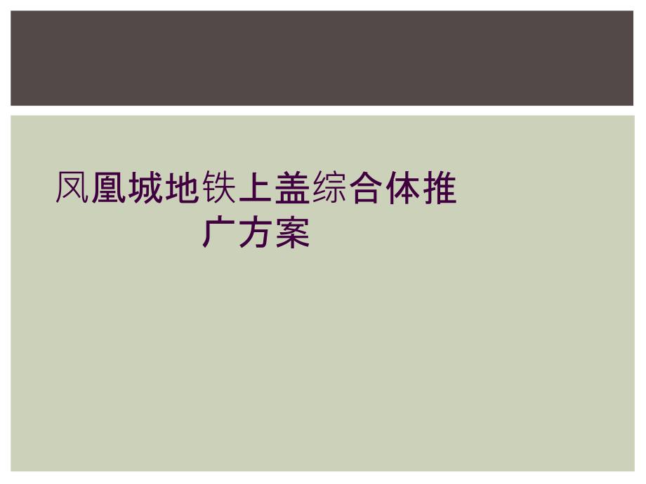 凤凰城地铁上盖综合体推广方案_第1页