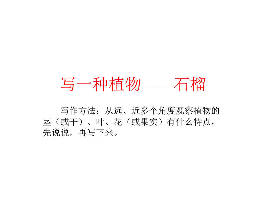 苏教版三年级上册语文《石榴》优秀课件_第1页