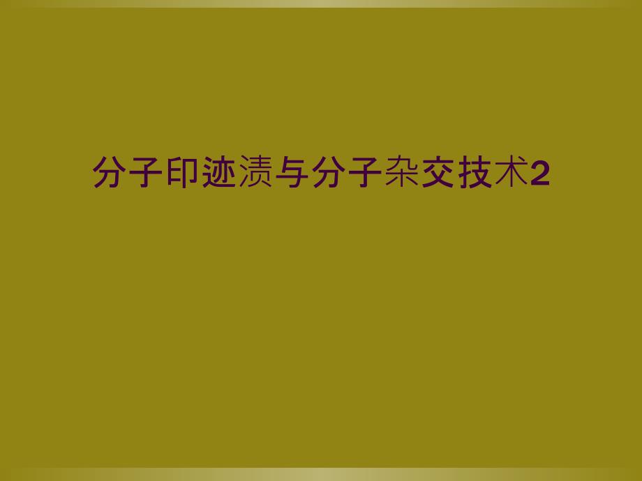 分子印迹渍与分子杂交技术2_第1页