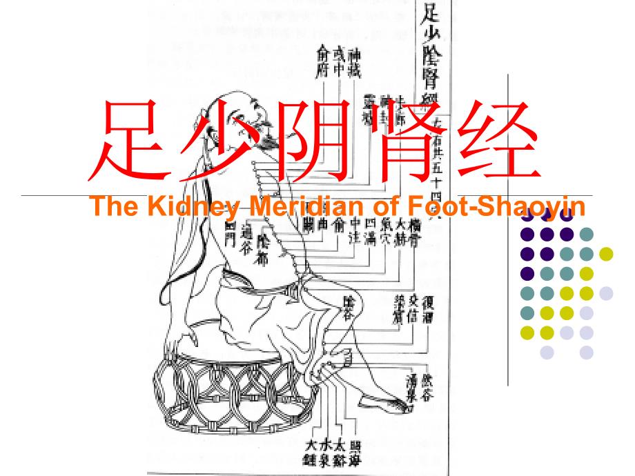 8足少阴肾经_第1页