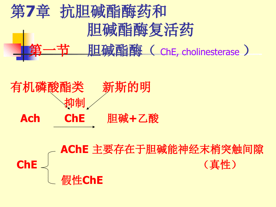 第7章抗胆碱酯酶药和胆碱酯酶复活药._第1页