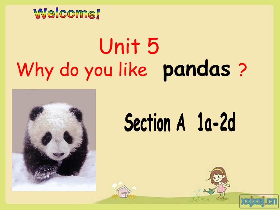 英语人教版新版七年级下册_公开课_Unit5Why_do_you_like_pandas_sectionAl_第1页