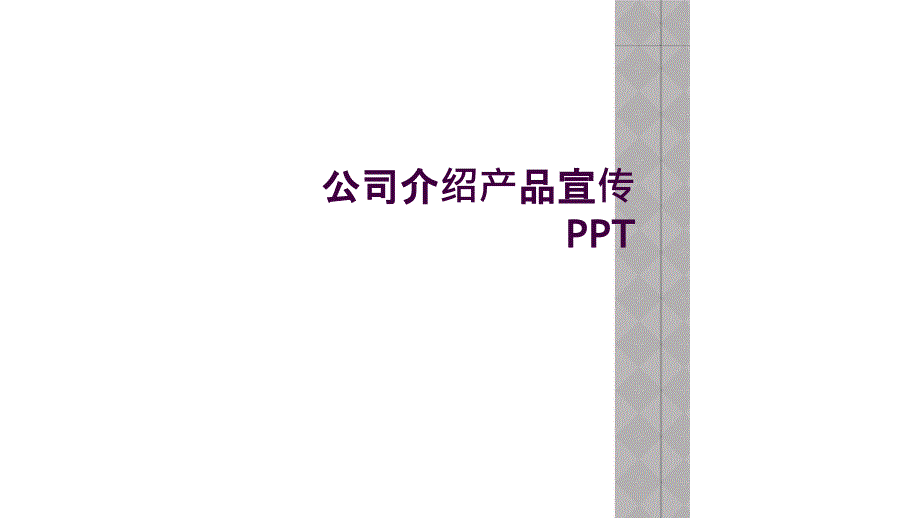 公司介绍产品宣传PPT_第1页