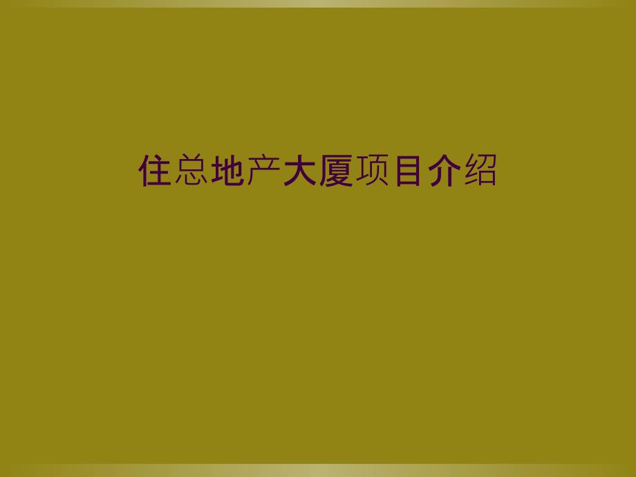 住总地产大厦项目介绍_第1页