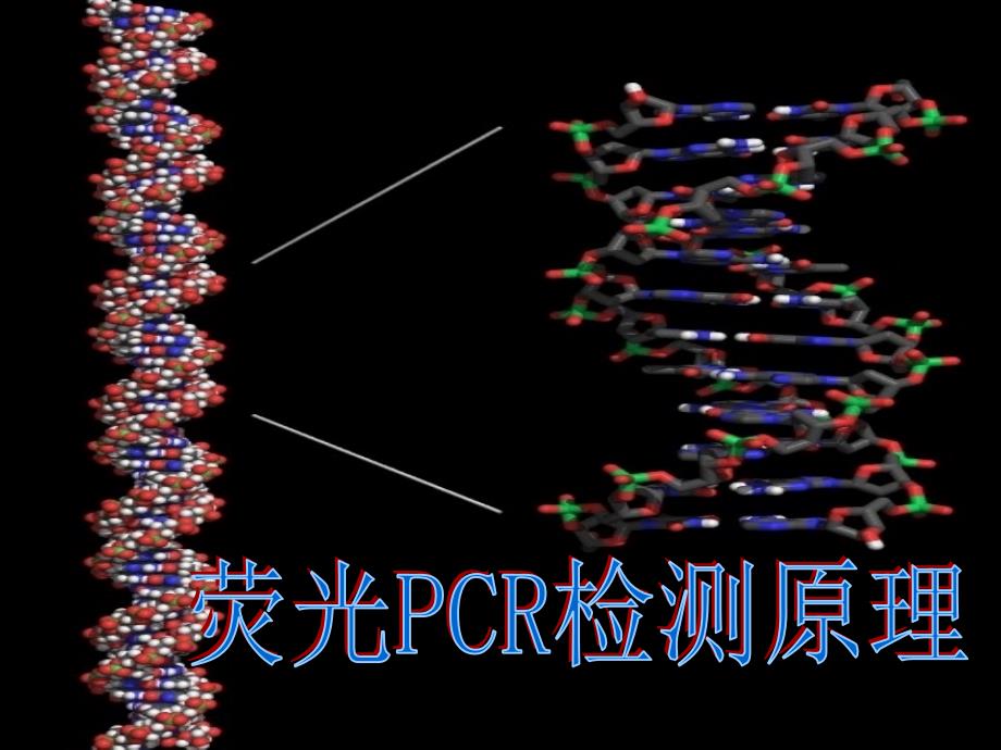 荧光pcr检测原理 powerpoint 演示文稿_第1页