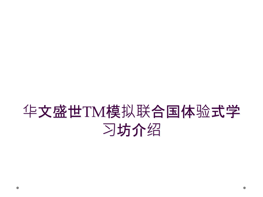 华文盛世TM模拟联合国体验式学习坊介绍_第1页