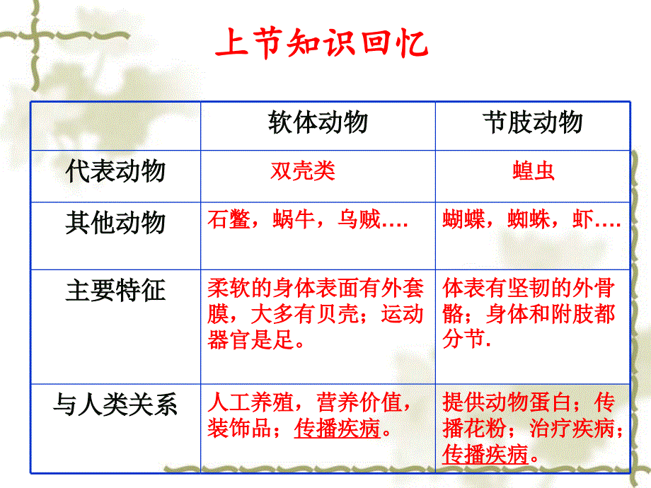 新人教版八年级生物上册514鱼ppt课件_第1页