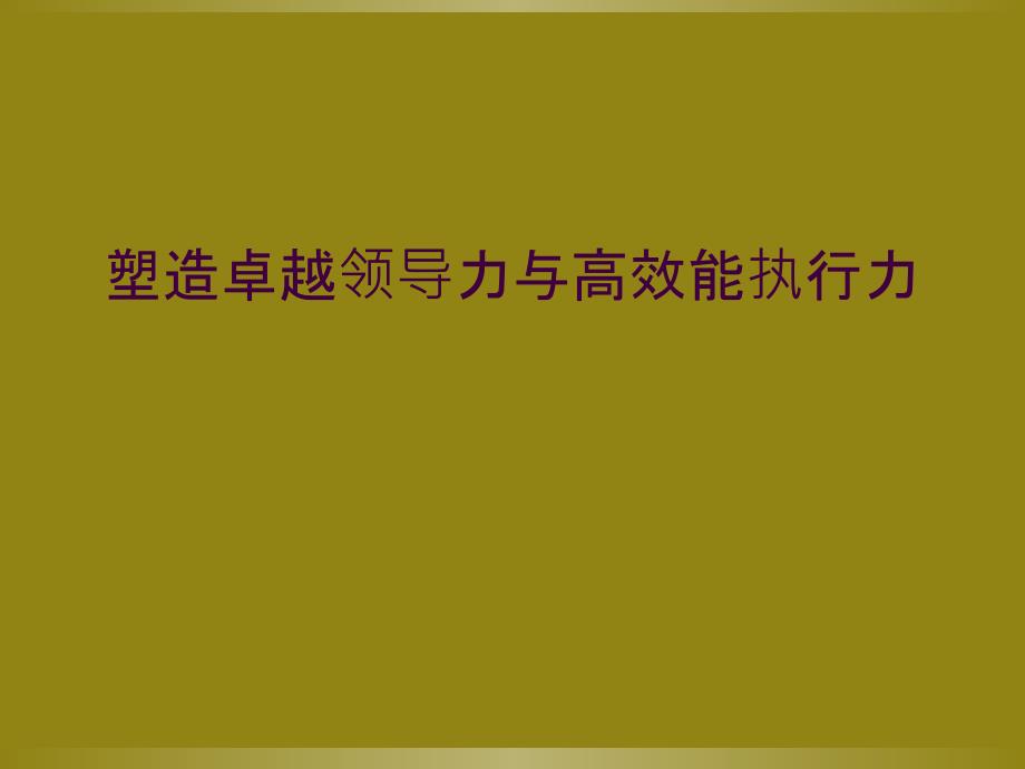 塑造卓越领导力与高效能执行力_第1页