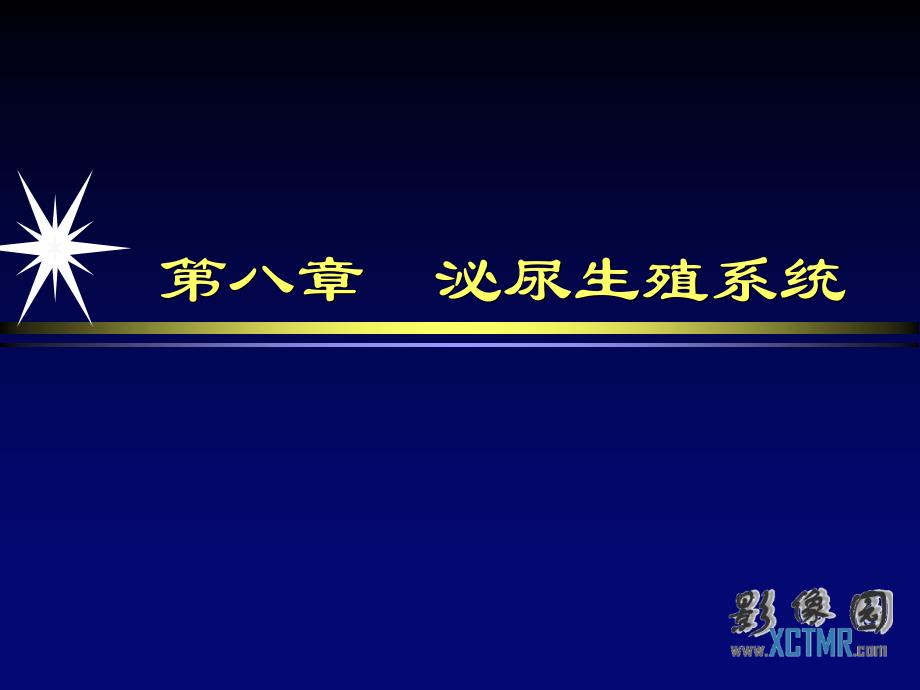 男性生殖系统疾病影像诊断_第1页