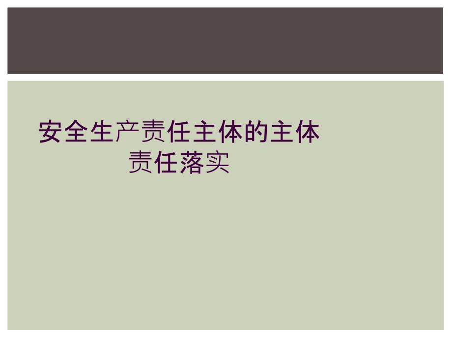 安全生产责任主体的主体责任落实_第1页