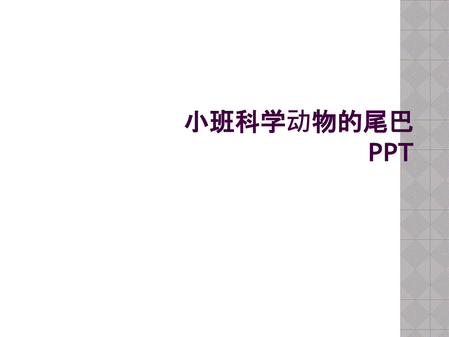 小班科学动物的尾巴PPT_第1页